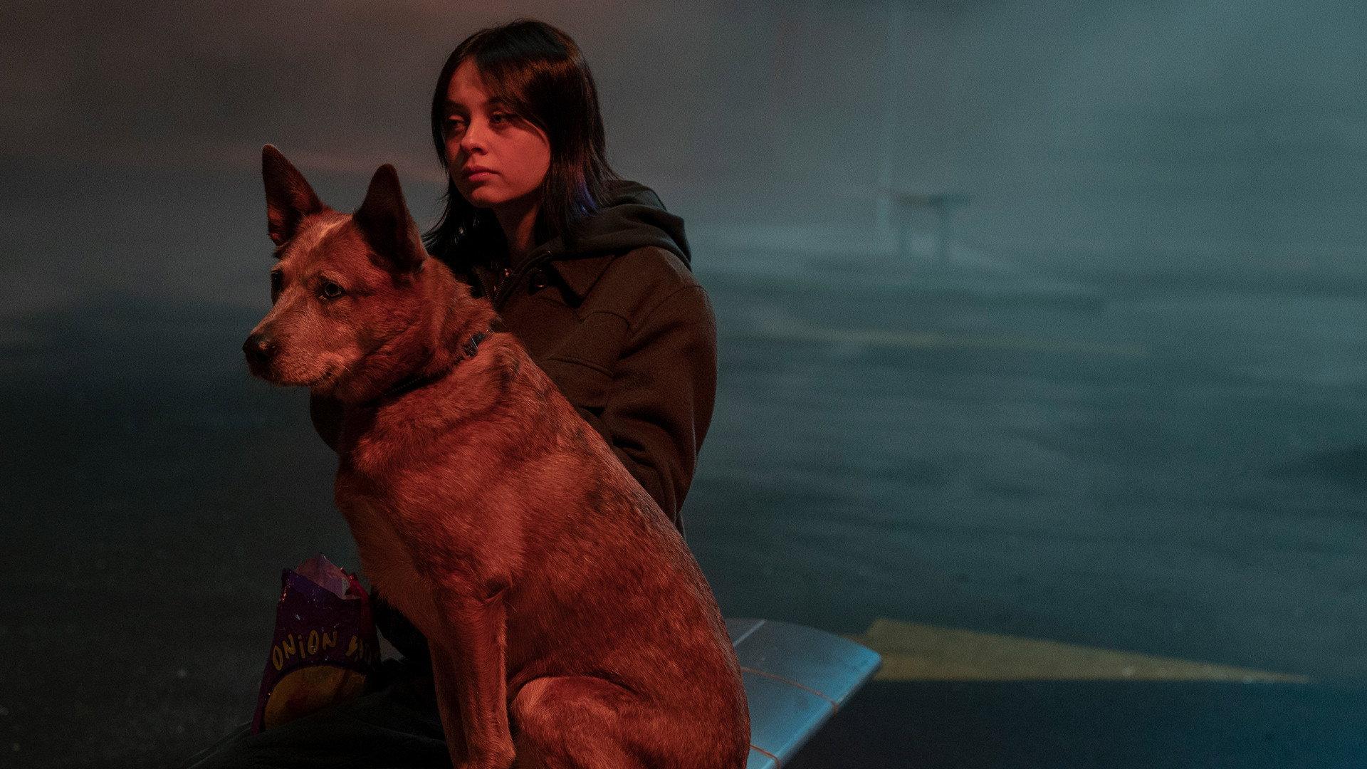 Still from The Dog's Honest Truth