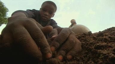 Still from Master of the Killer Ants