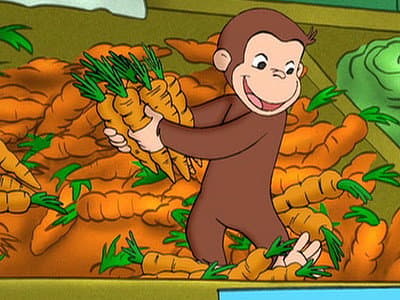 Still from Cooking With Monkey