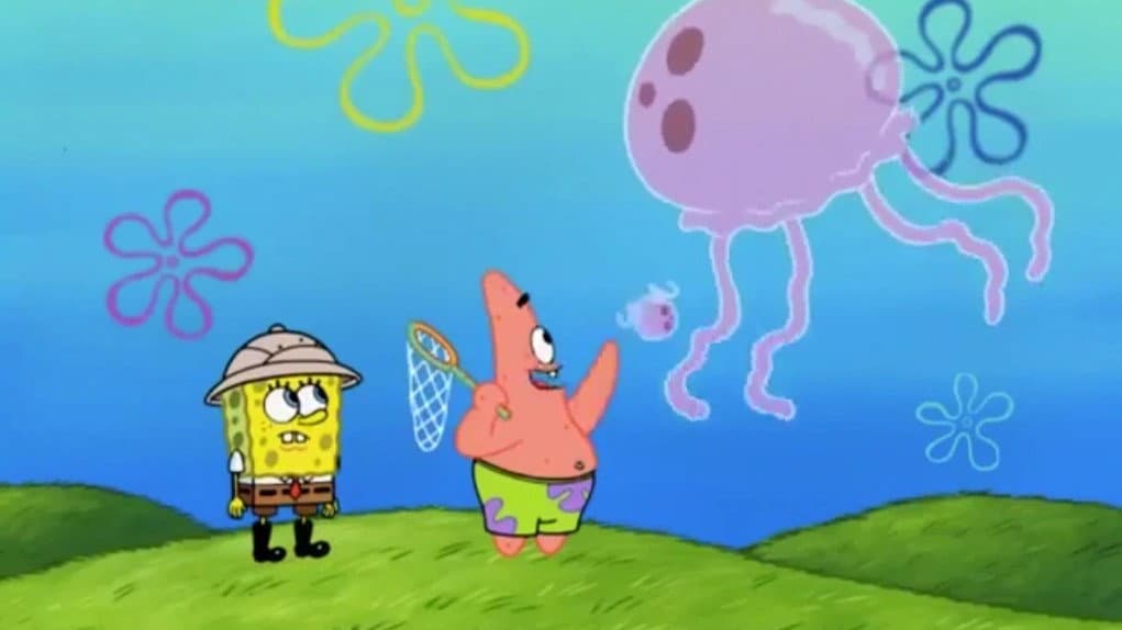 Still from Jellyfishing Safety Tips