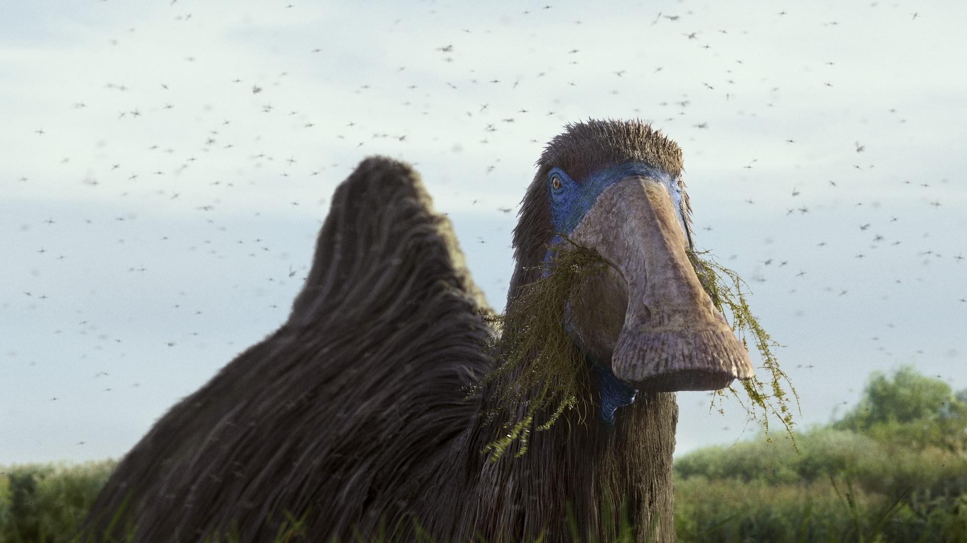 Still from Freshwater