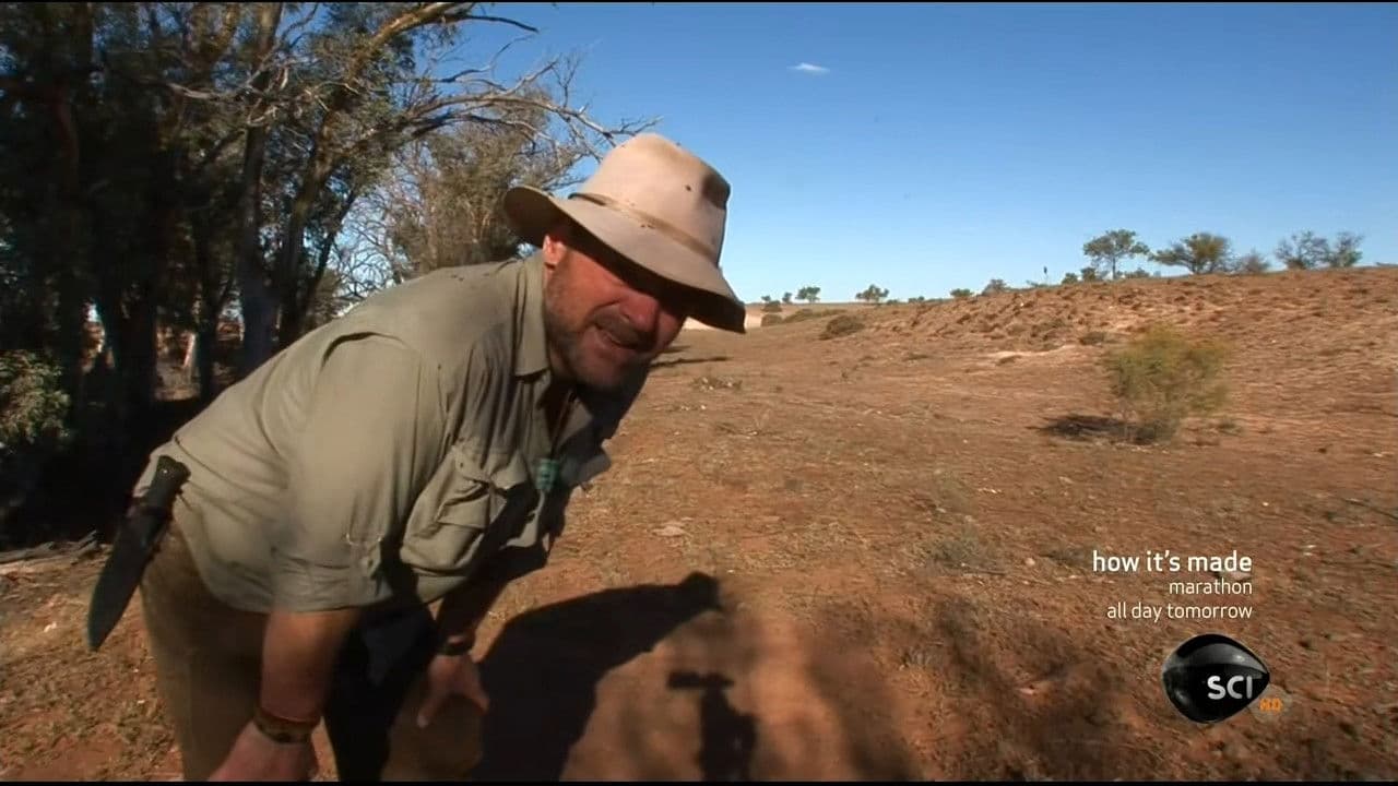 Still from Australian Outback