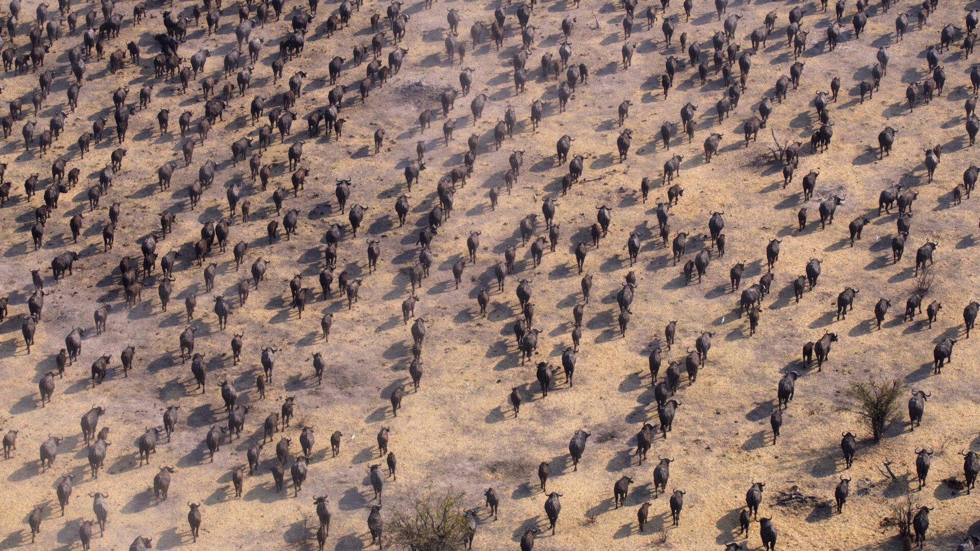 Still from Chapter 1: World on the Move