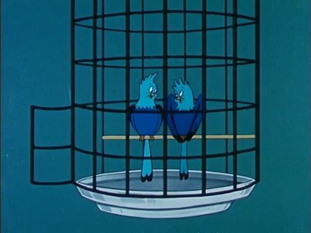 Still from Love Birds
