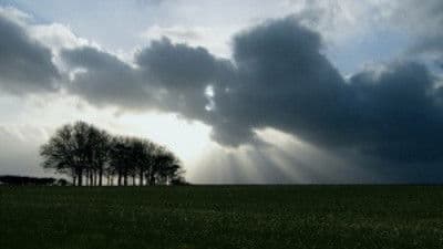 Still from Did We Invent God?