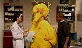 Still from Wing in a Sling