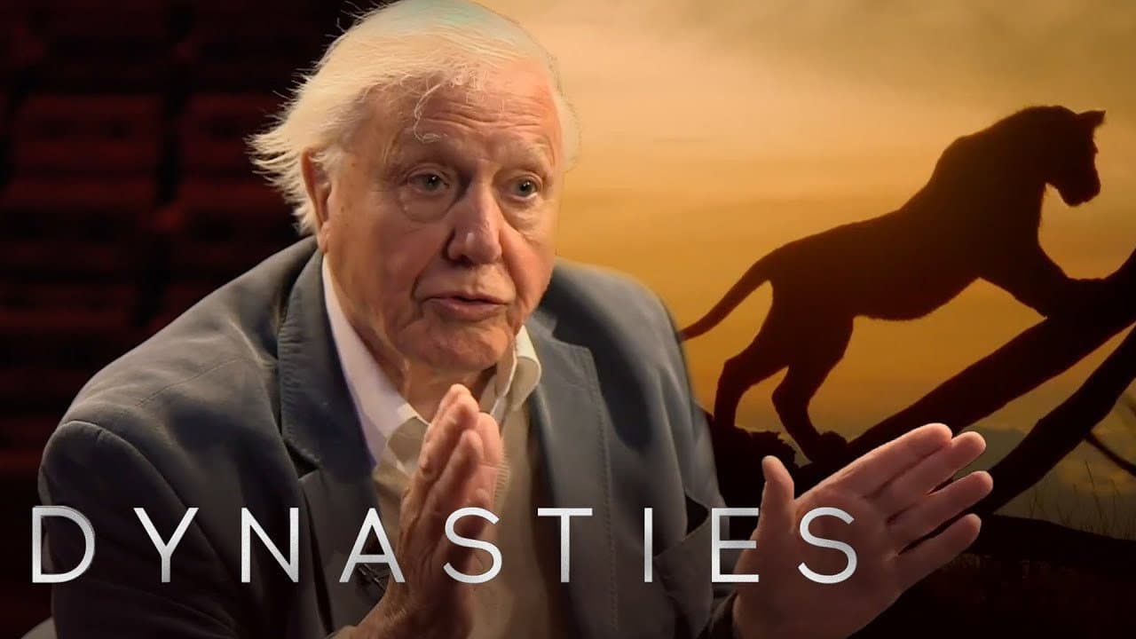 Still from David Attenborough On Dynasties