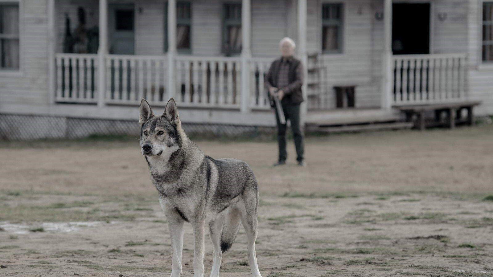 Still from In Quo Ego Vado Vos