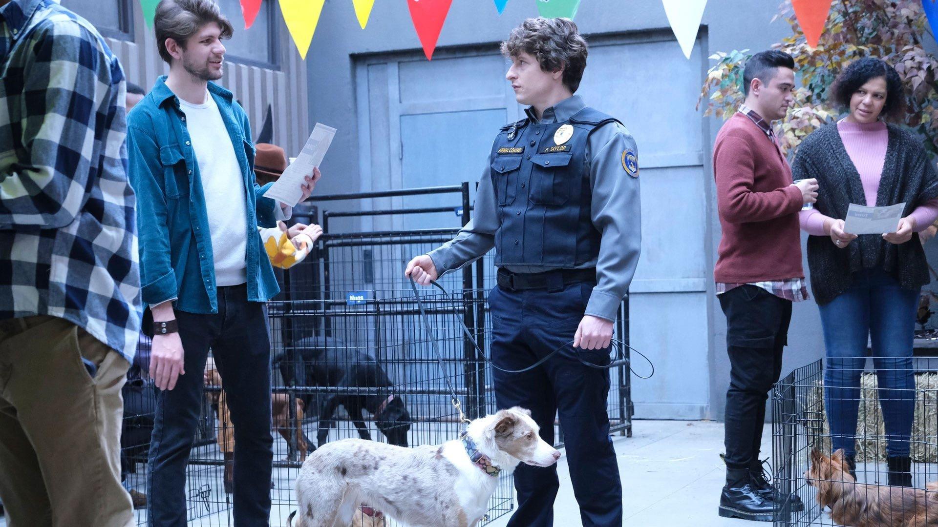 Still from Dogs and Geese