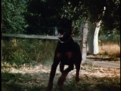 Still from Hounds of Hell