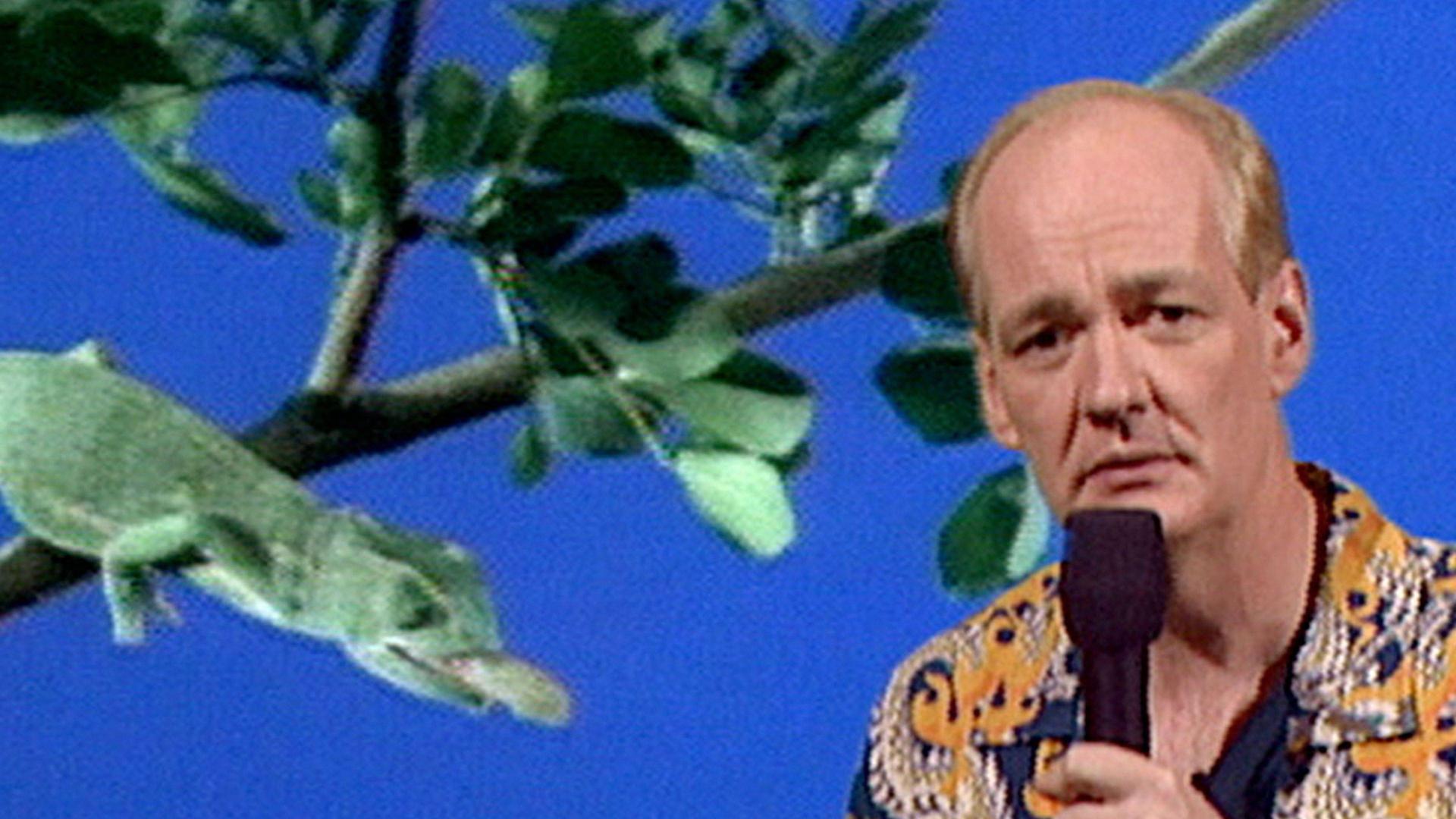 Still from Kathy Greenwood