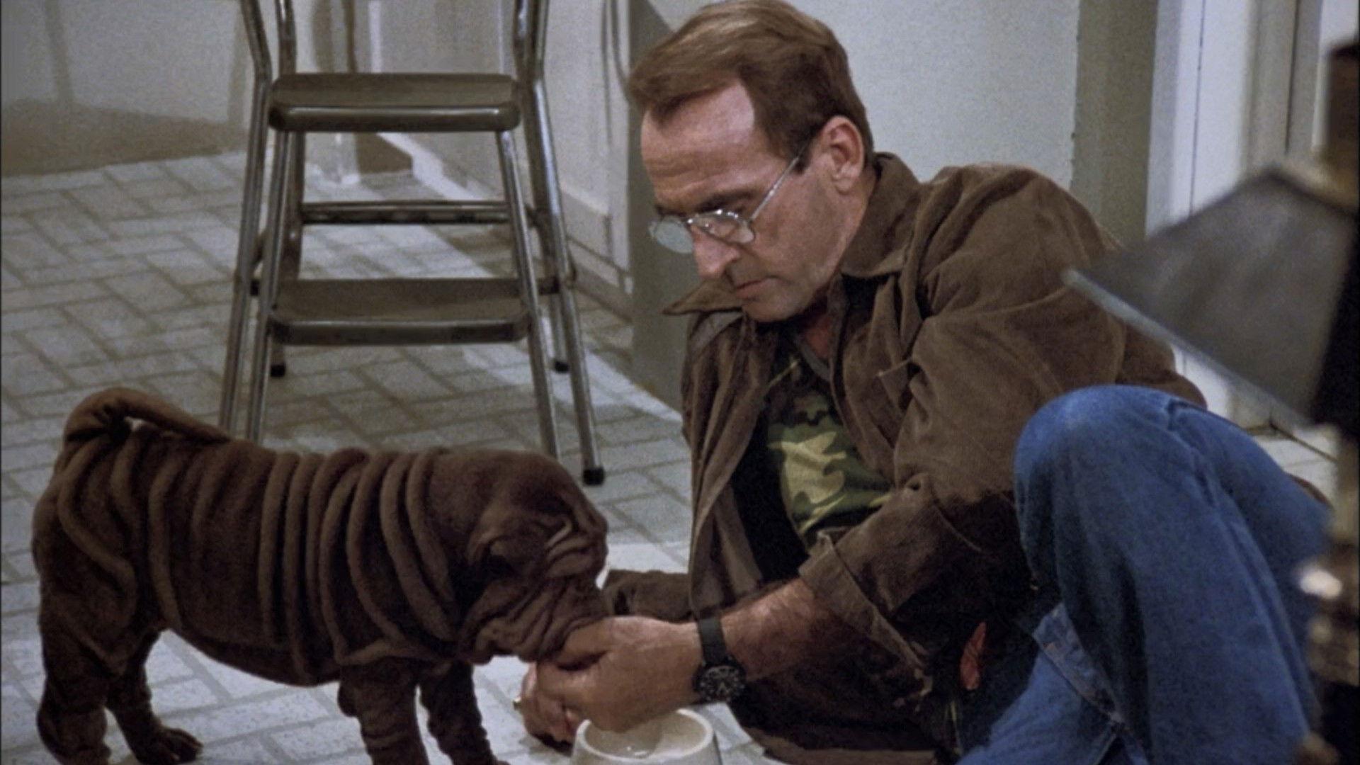 Still from Somewhere Over the Rambo