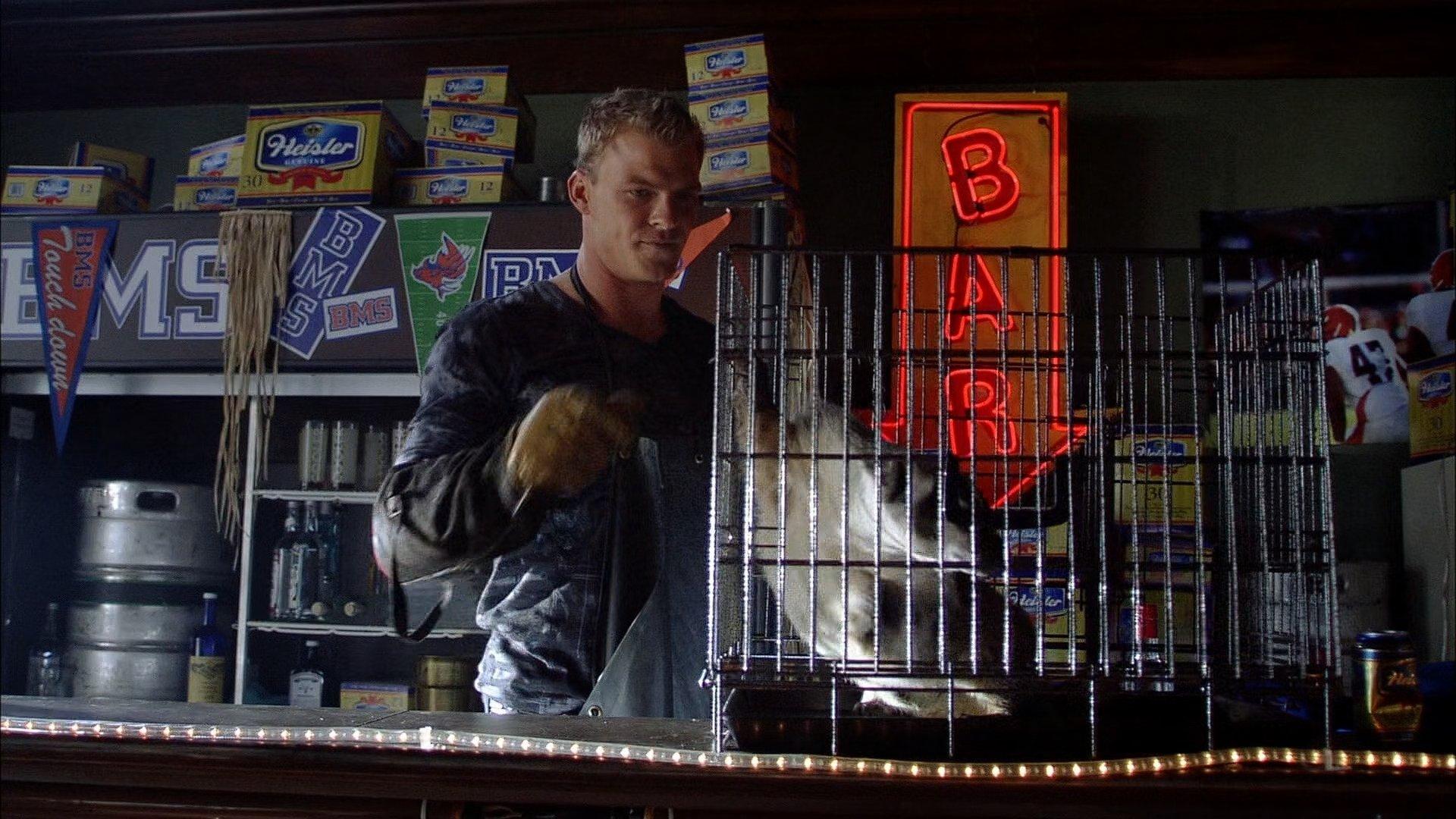 Still from The Badger
