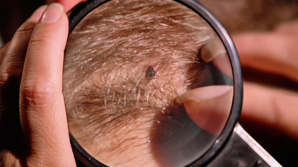 Still from Pain