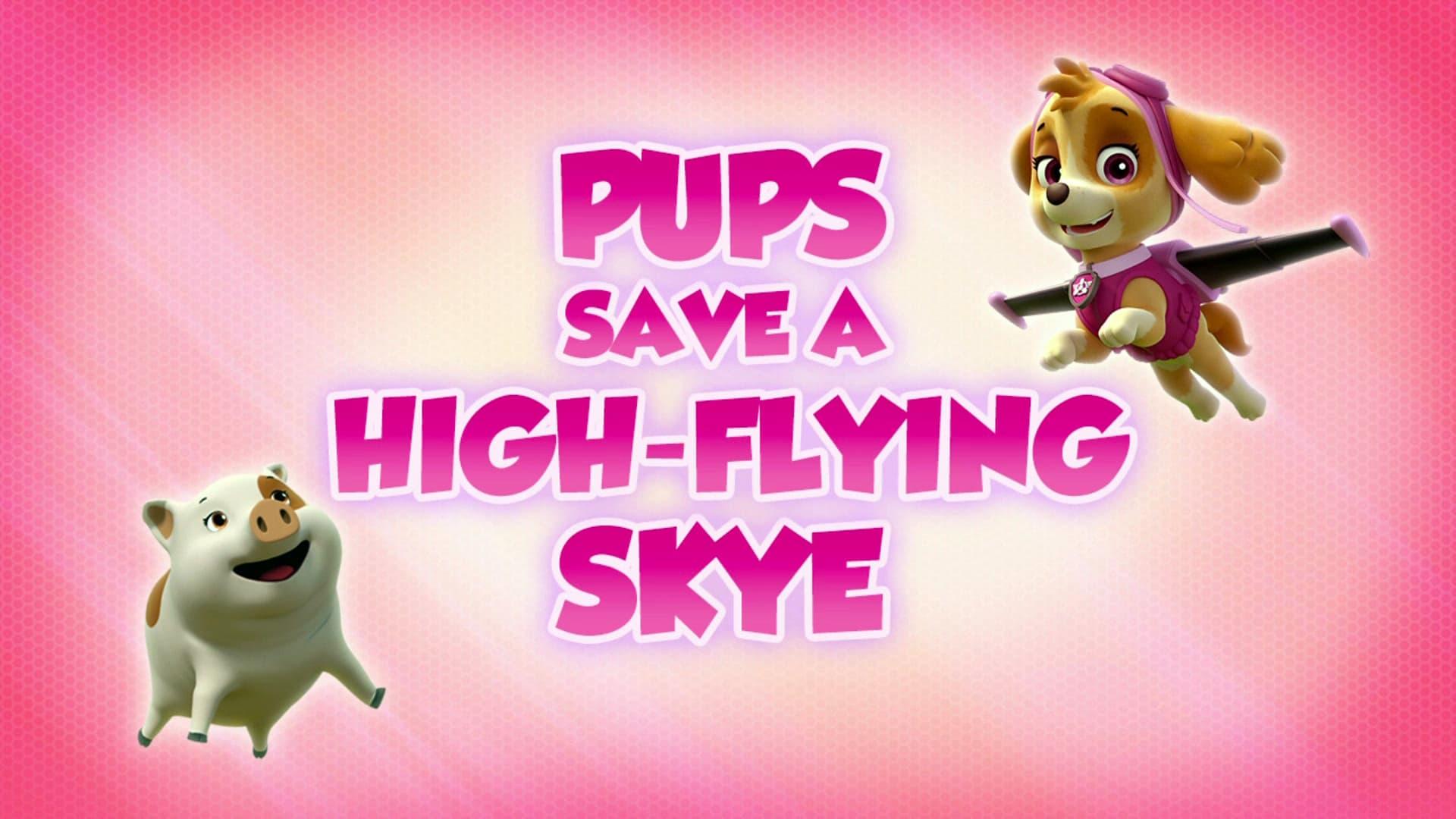 Still from Pups Save a High-Flying Skye