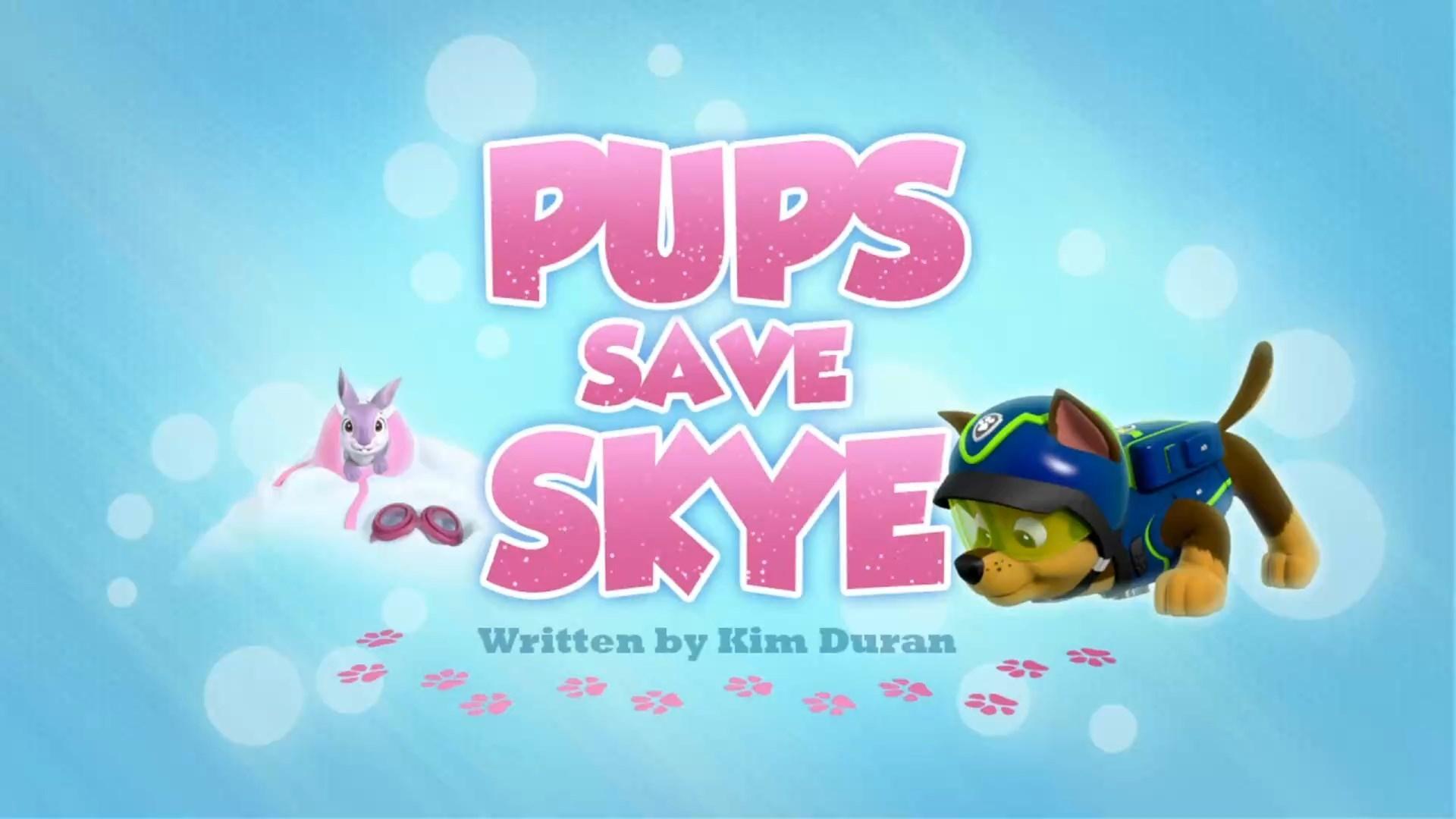 Still from Pups Save Skye