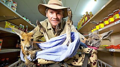 Still from Kangaroo Dundee (1)
