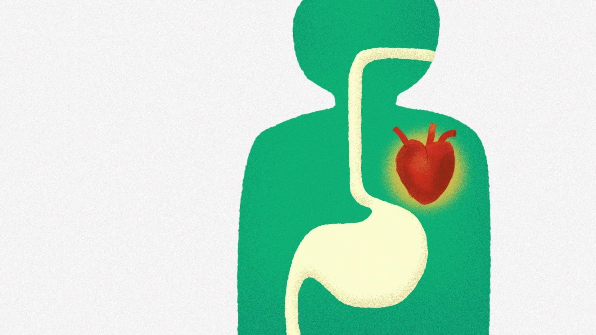 Still from Why Diets Fail