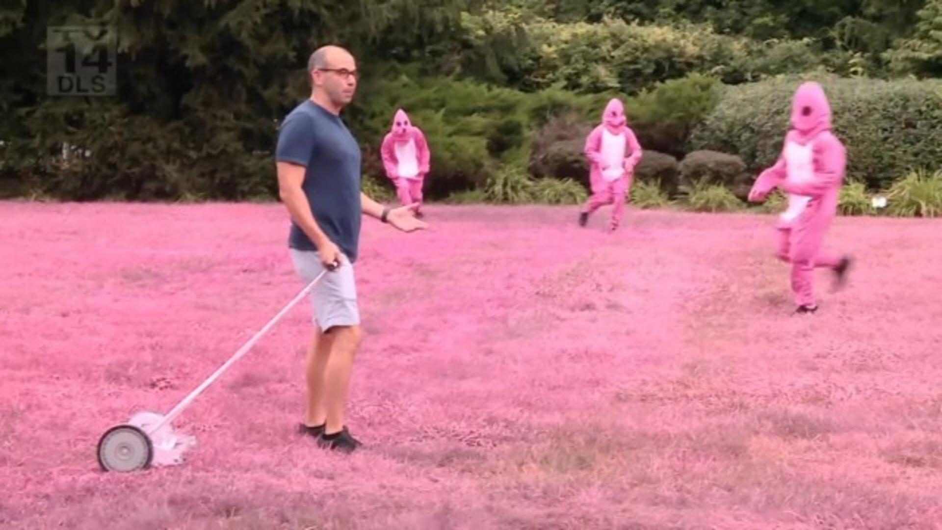 Still from Pity in Pink