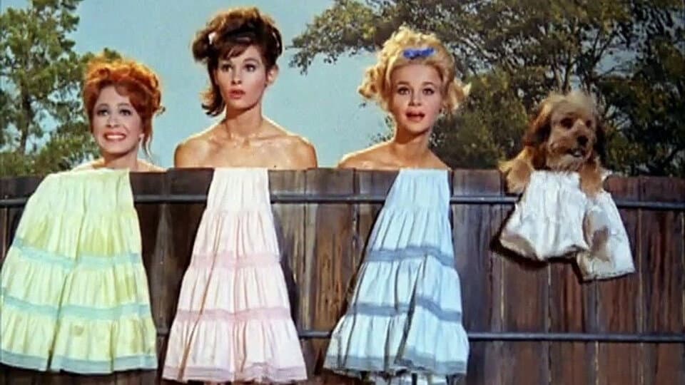 Still from Dear Minerva