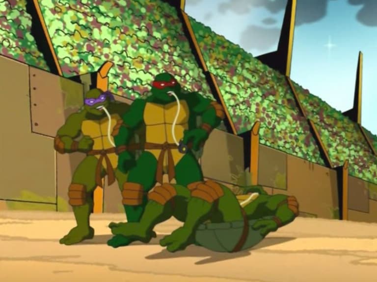 Still from Turtles in Space (4): The Arena
