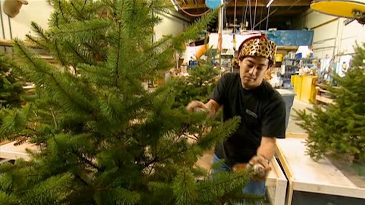 Still from Holiday Special
