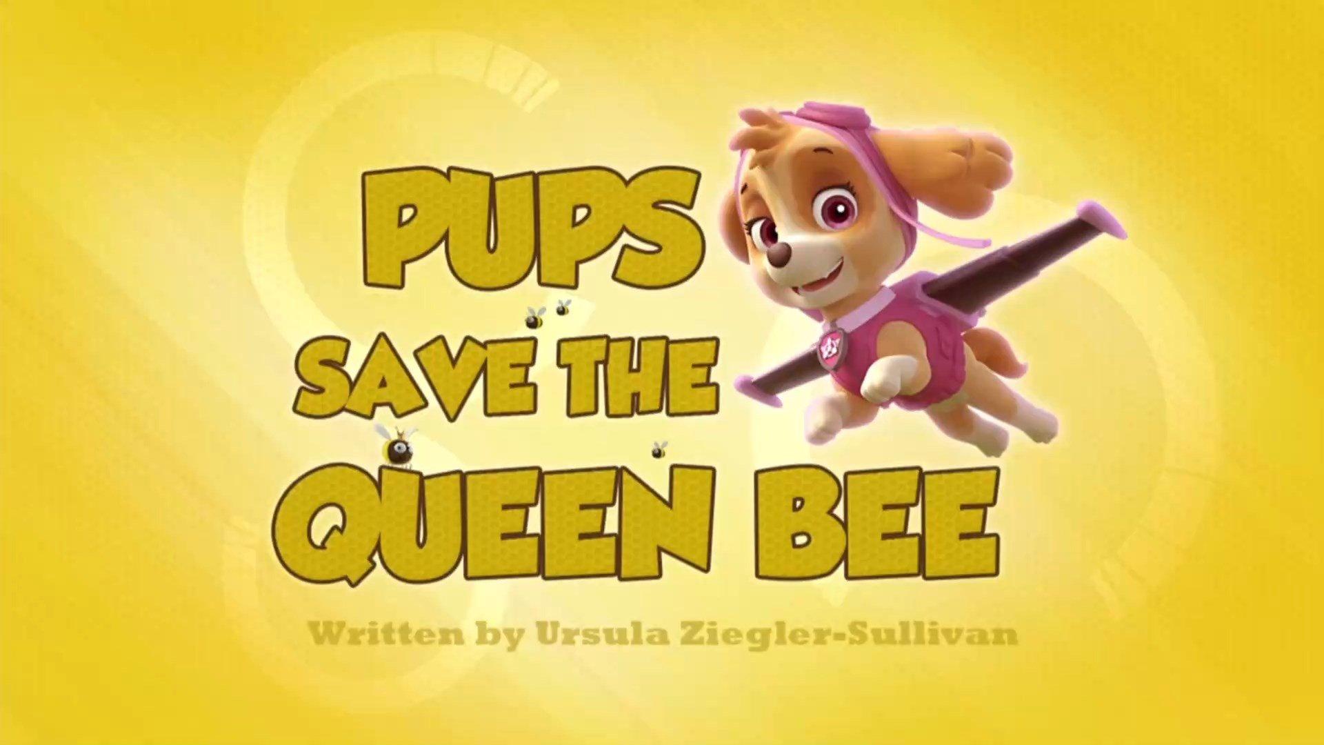 Still from Pups Save the Queen Bee