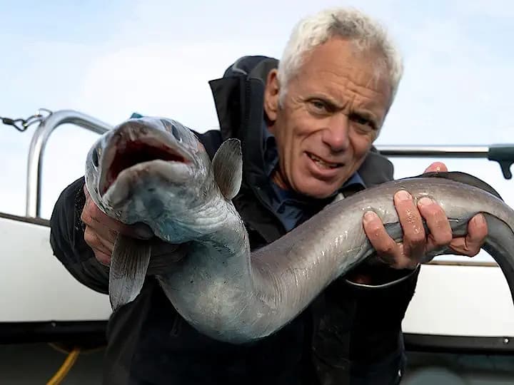 Still from Top Ten Beasts