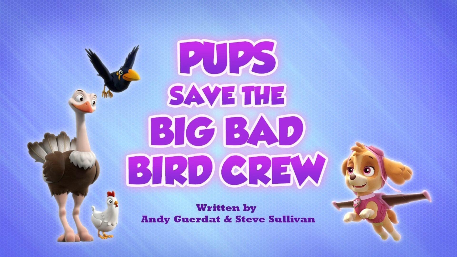 Still from Pups Save a Big Bad Bird Crew