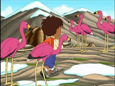 Still from A New Flamingo Mami