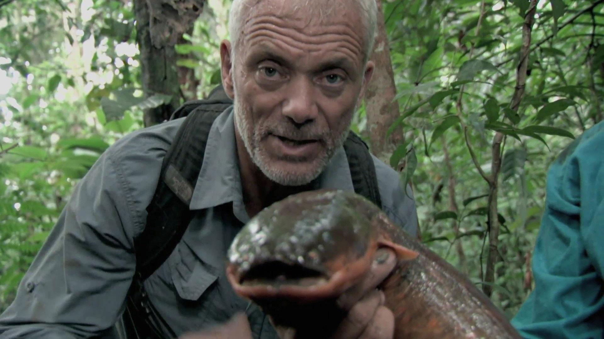 Still from Jungle Terminator