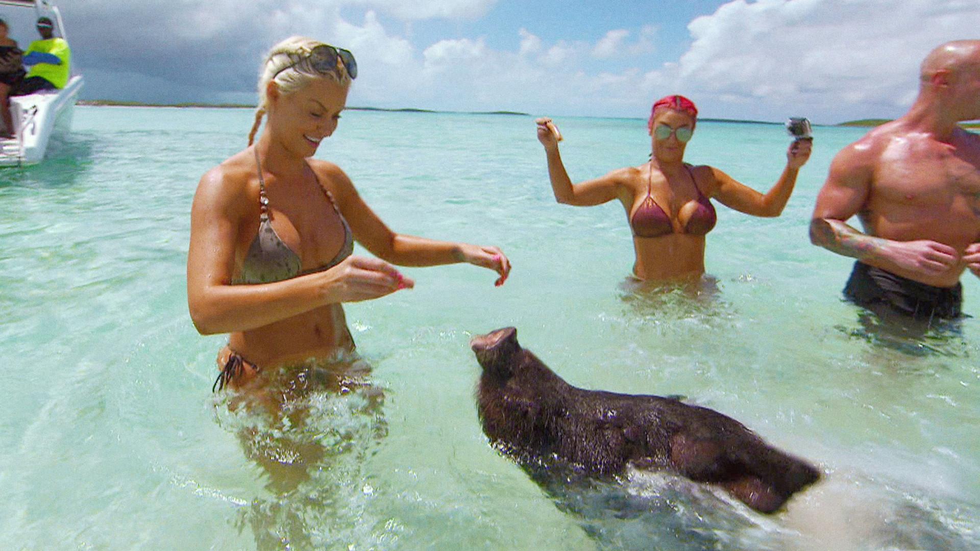 Still from Swimming With Pigs
