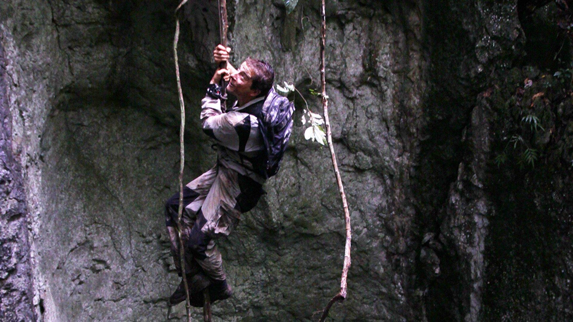 Still from Borneo Jungle