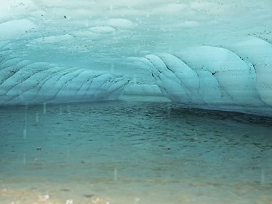 Still from Cloning the Woolly Mammoth