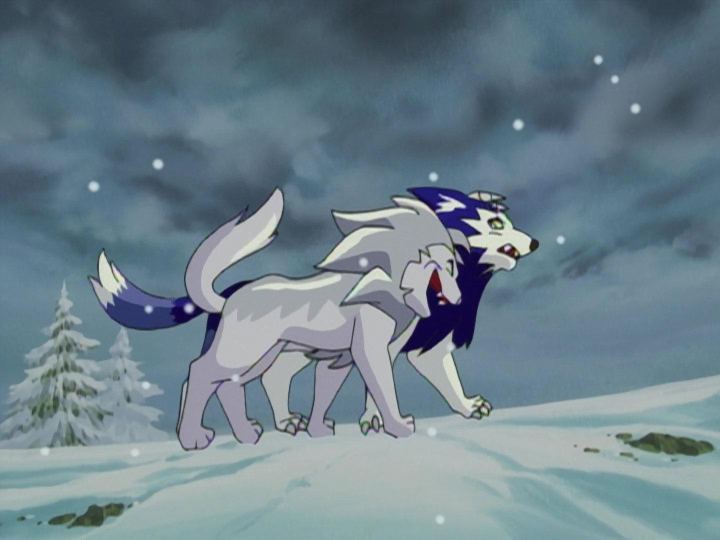 Still from Tiger's Battle With Destiny