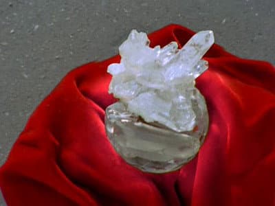 Still from Methuselah's Gift