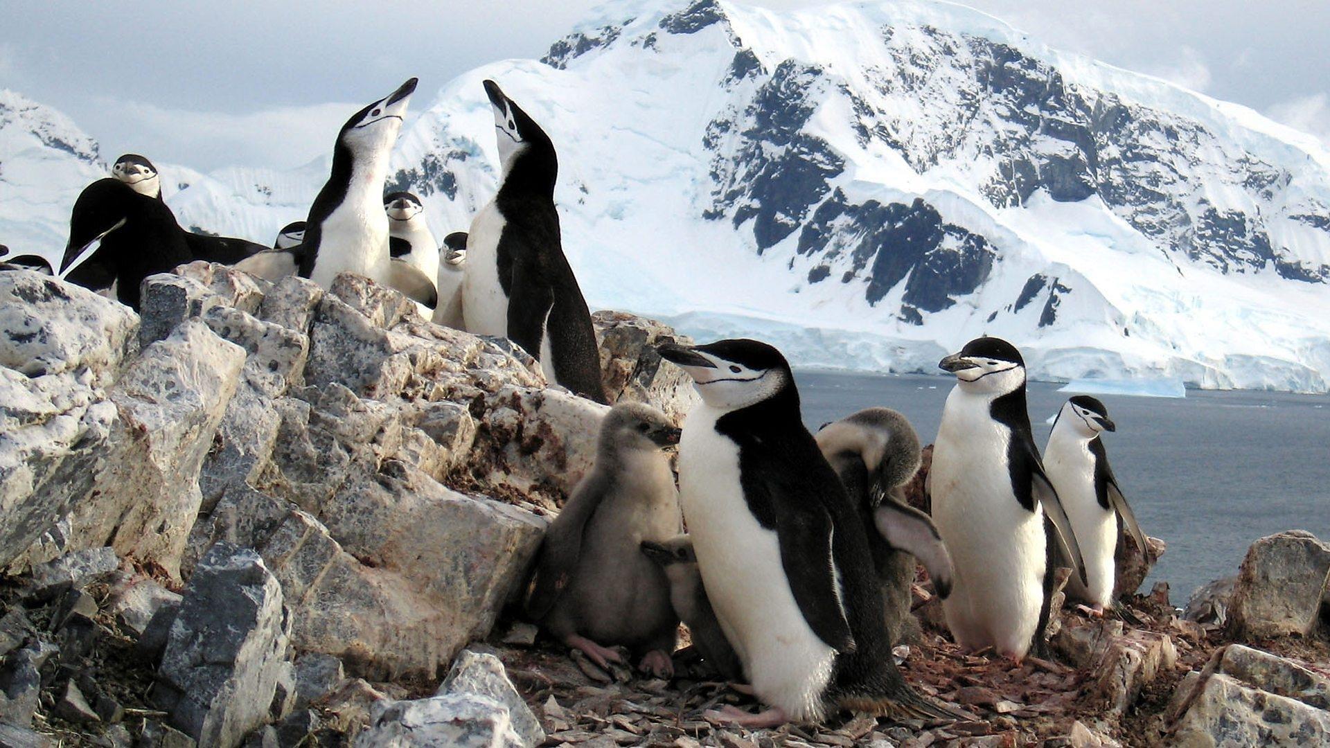 Still from Ice Worlds