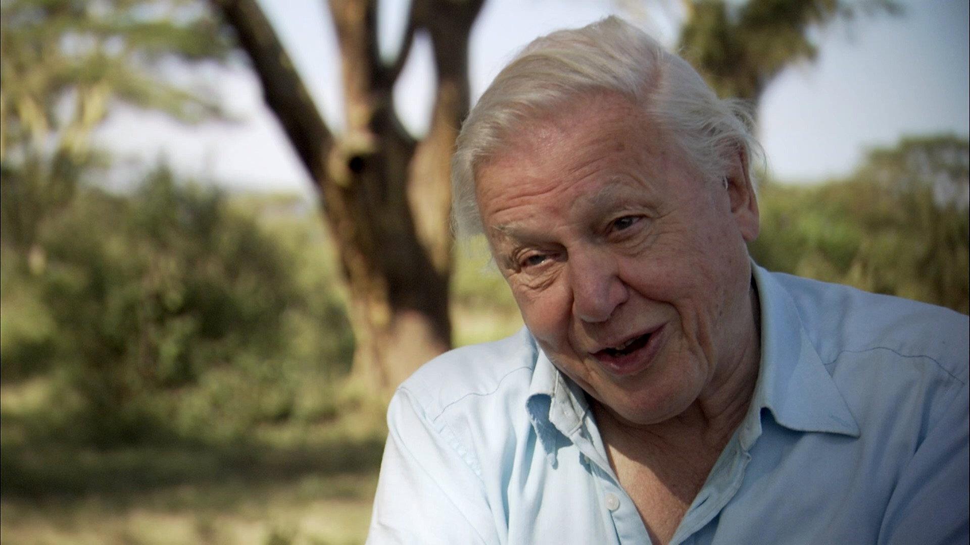 Still from Interview with Sir David Attenborough