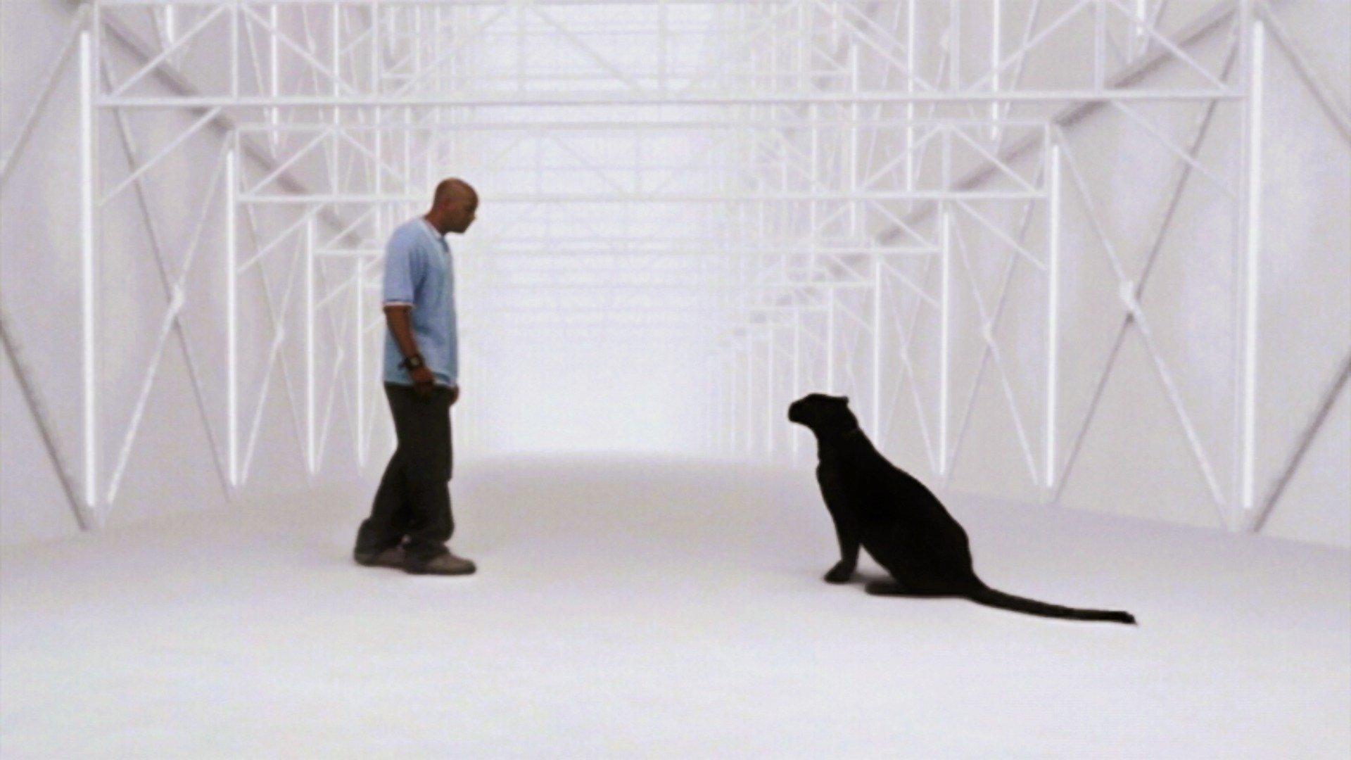 Still from Home