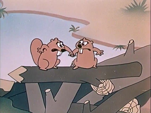 Still from Beaver or Not
