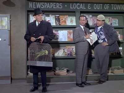 Still from Perils in a Pet Shop