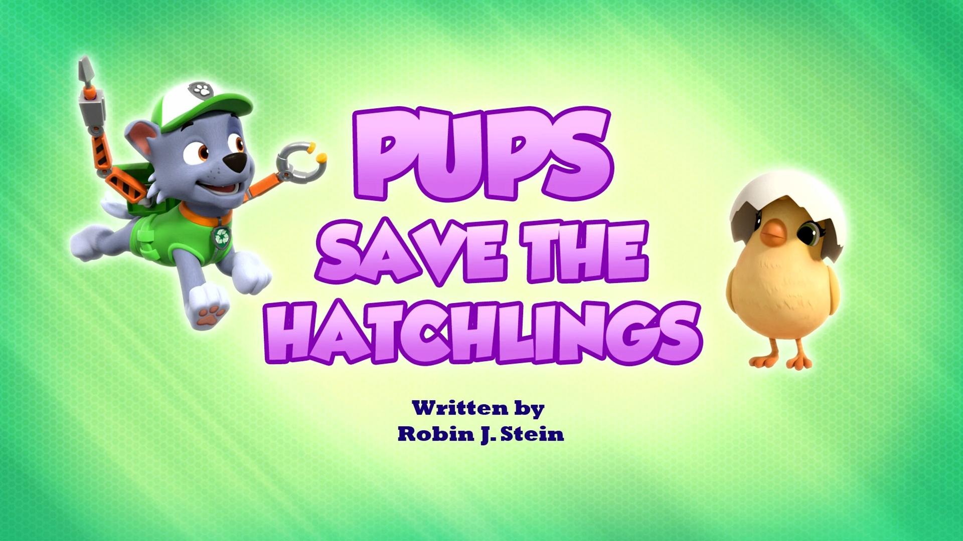 Still from Pups Save the Hatchlings