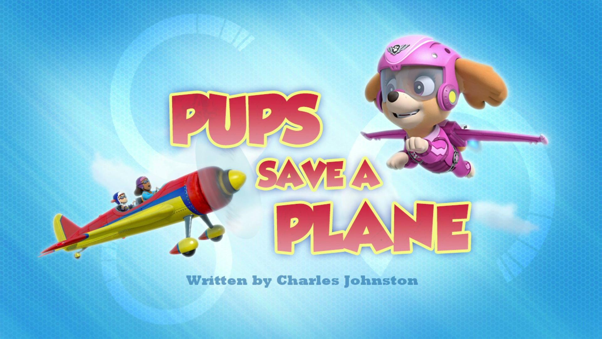 Still from Pups Save a Plane