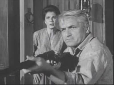 Still from Run, Sheep, Run