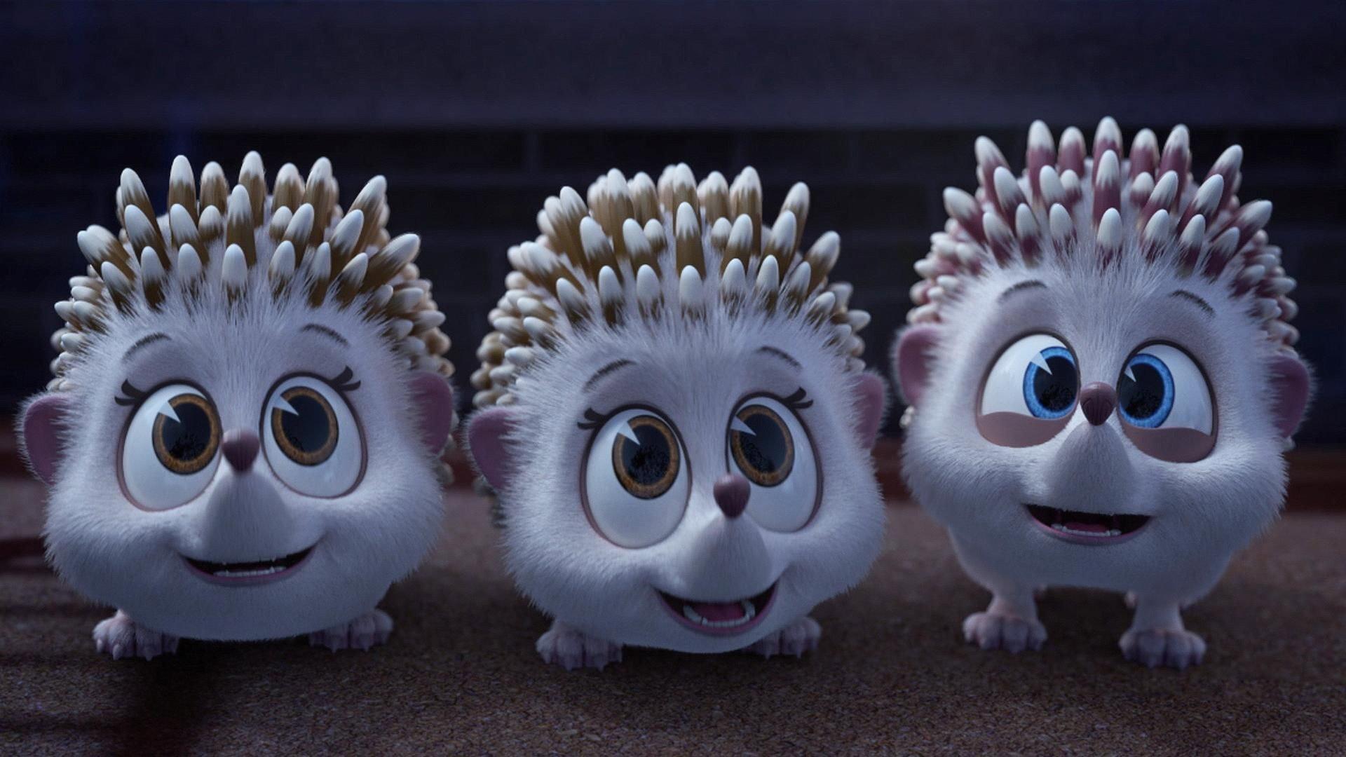 Still from Hedgehog Sitters Club