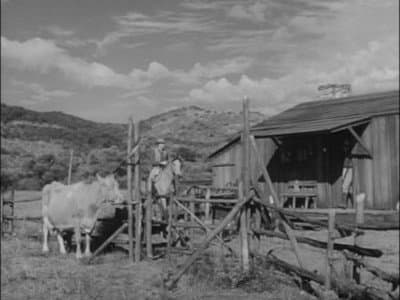 Still from Prairie Wolfer
