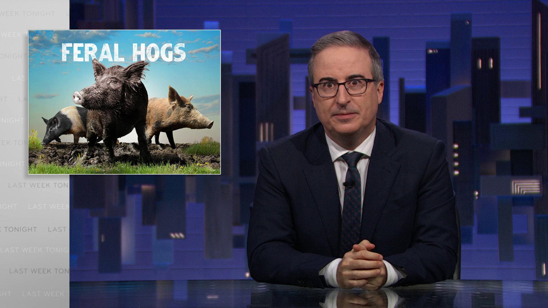 Still from June 21, 2026: Feral Hogs
