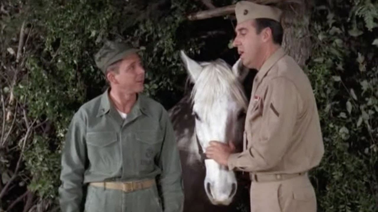 Still from Goodbye, Dolly