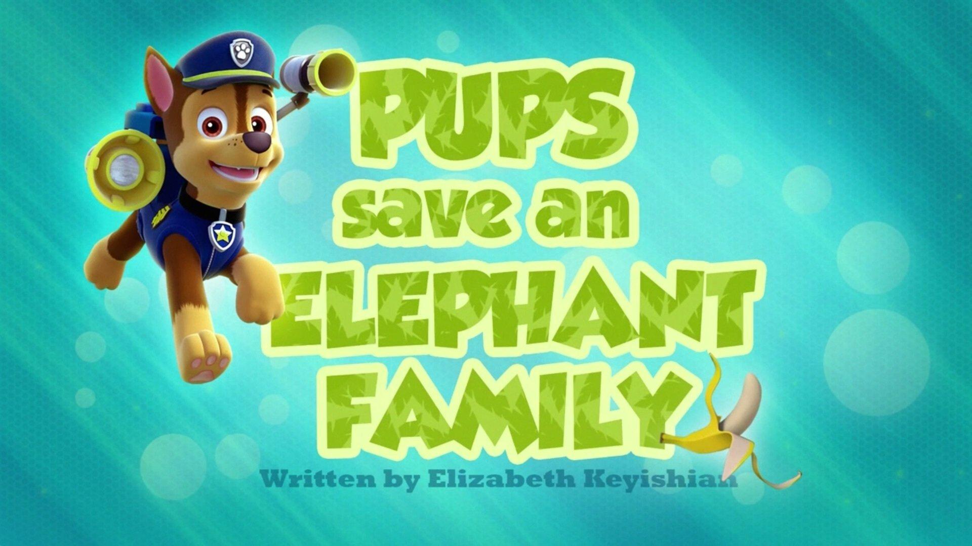Still from Pups Save an Elephant Family