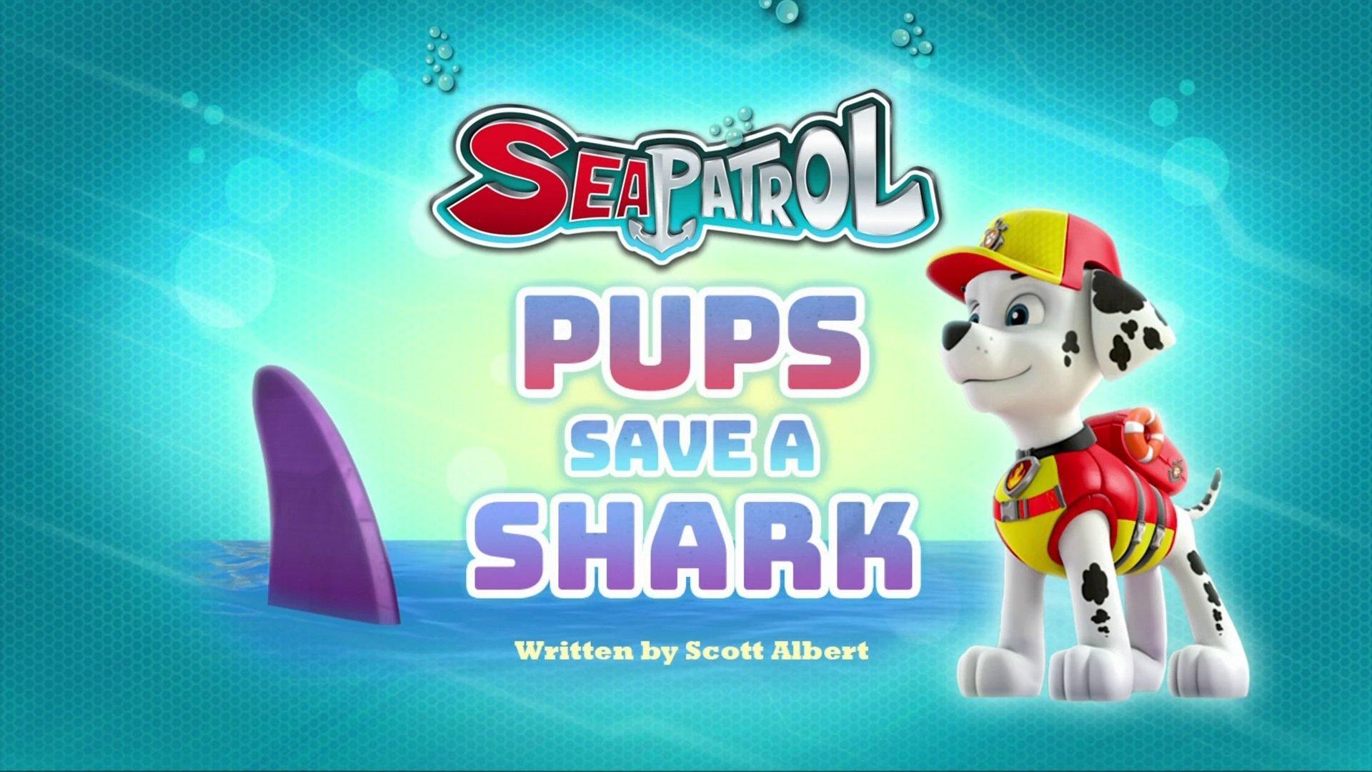 Still from Sea Patrol: Pups Save a Shark